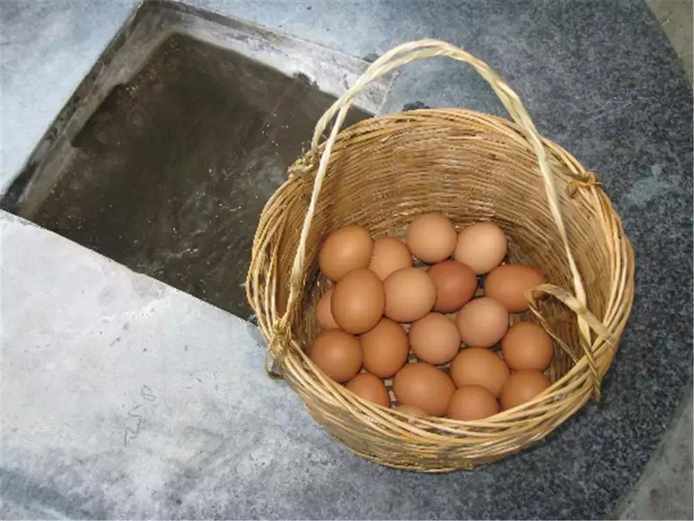 温泉季已到,这个元旦就来一场惬意的海南泡汤+逛吃之旅吧!