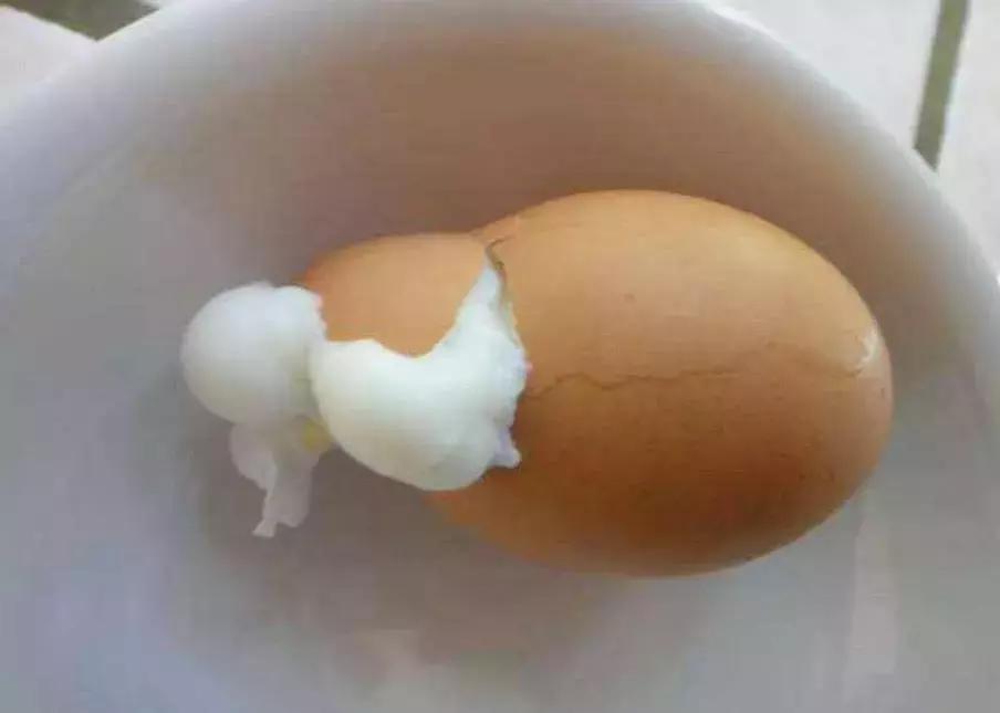 新手挑选红皮鸡蛋和白皮鸡蛋区别,红皮鸡蛋真的比白皮鸡蛋有营养吗