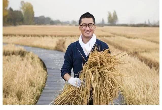 成功洗白黑历史的明星,劣迹斑斑被洗白的明星