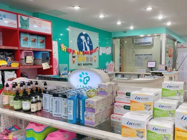 走近瑞派宠医|胡浩院长：好医生要慢着来