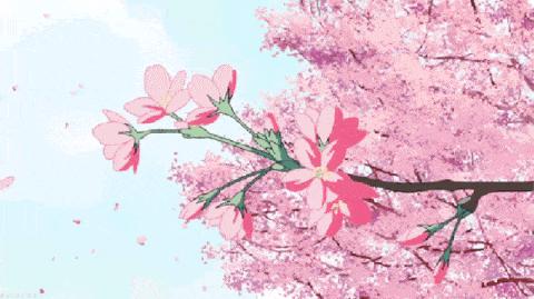 优衣库防晒衣哪个款好,优衣库防晒衣透气款和防雨款