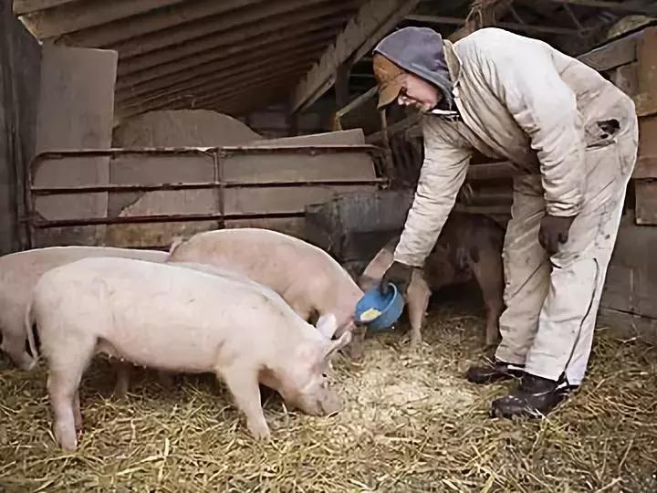 摸一下肚子就怀孕,都市传说怀孕