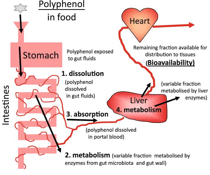 红酒里面有渣渣是好红酒吗,红酒有酒渣是好是坏