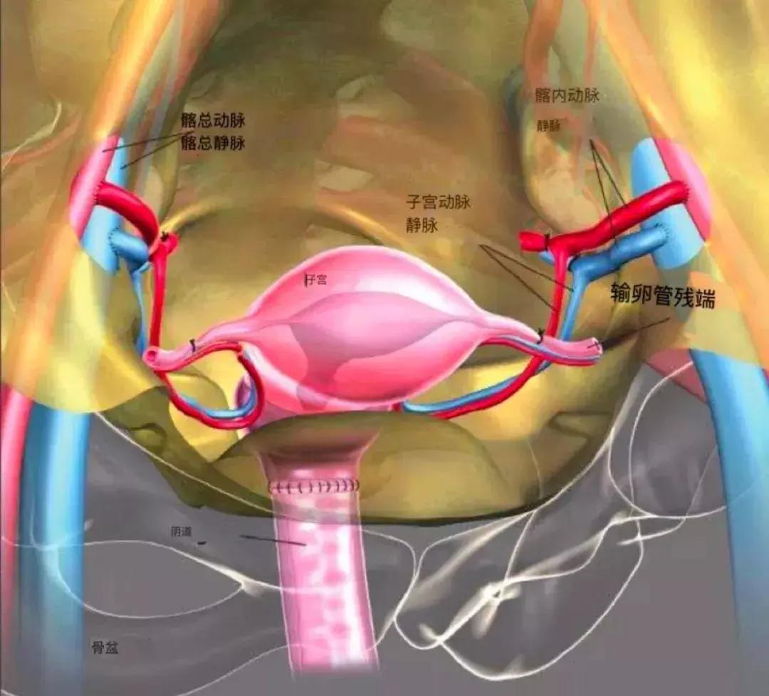 女儿用母亲子宫产子风险重重，这样的选择值吗？