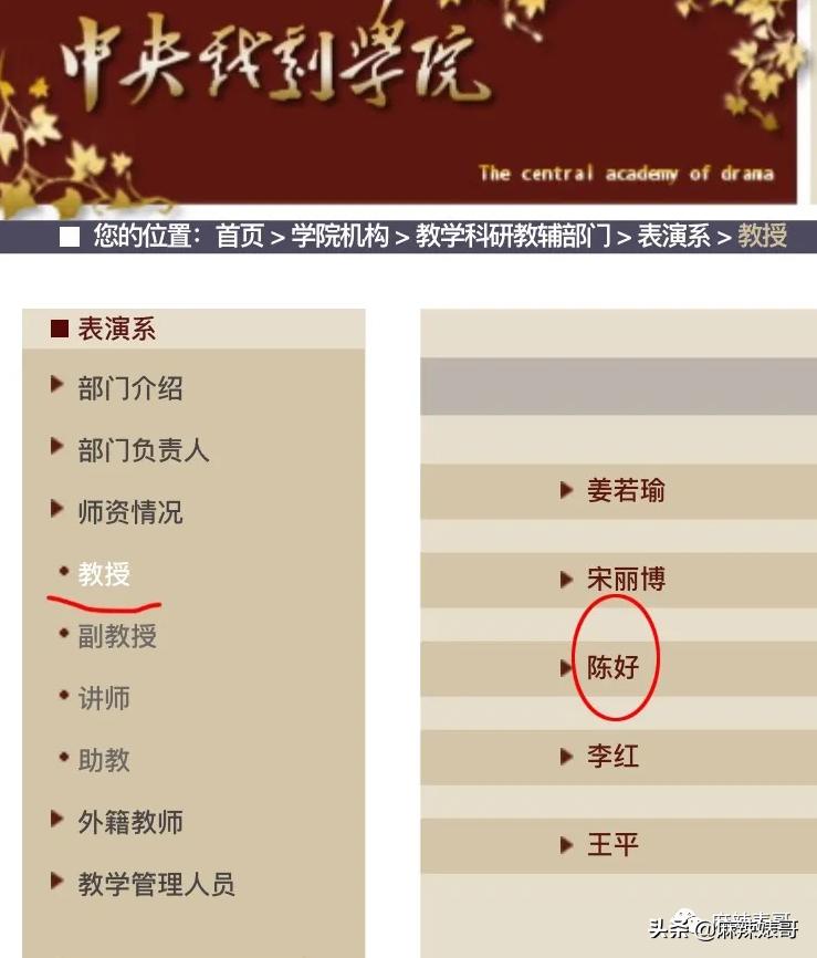 翟天临陈好,陈好演万人迷的时候多大