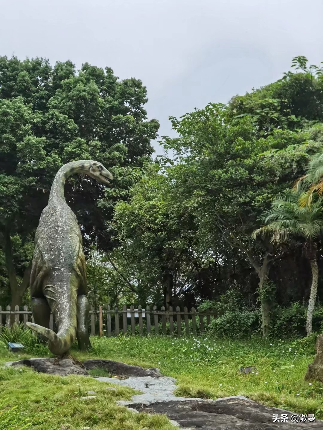 恐龙距今多少年前灭绝,恐龙灭绝前有人类吗
