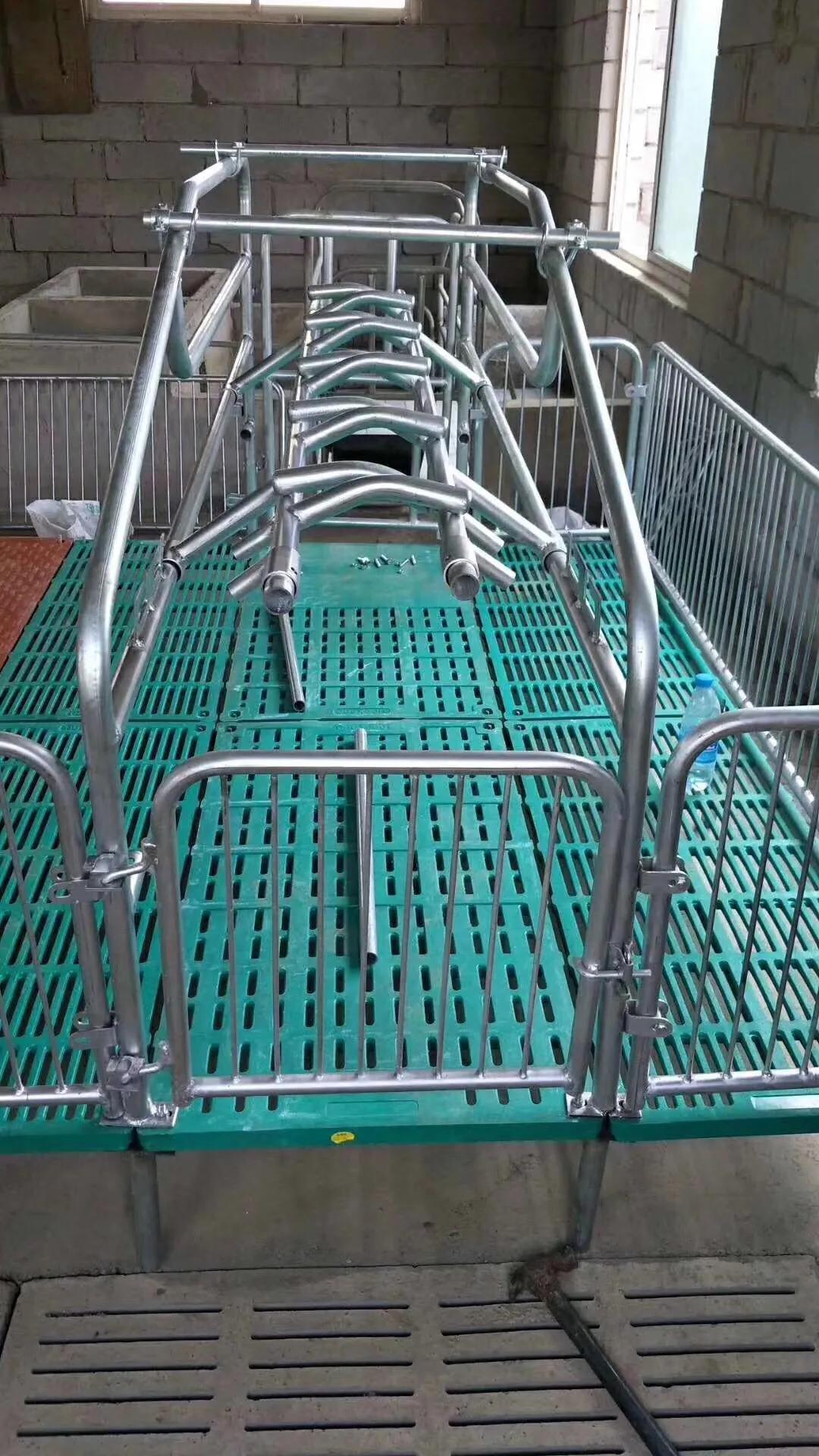 母猪产床限位栏保育床,北京母猪产床限位栏批发