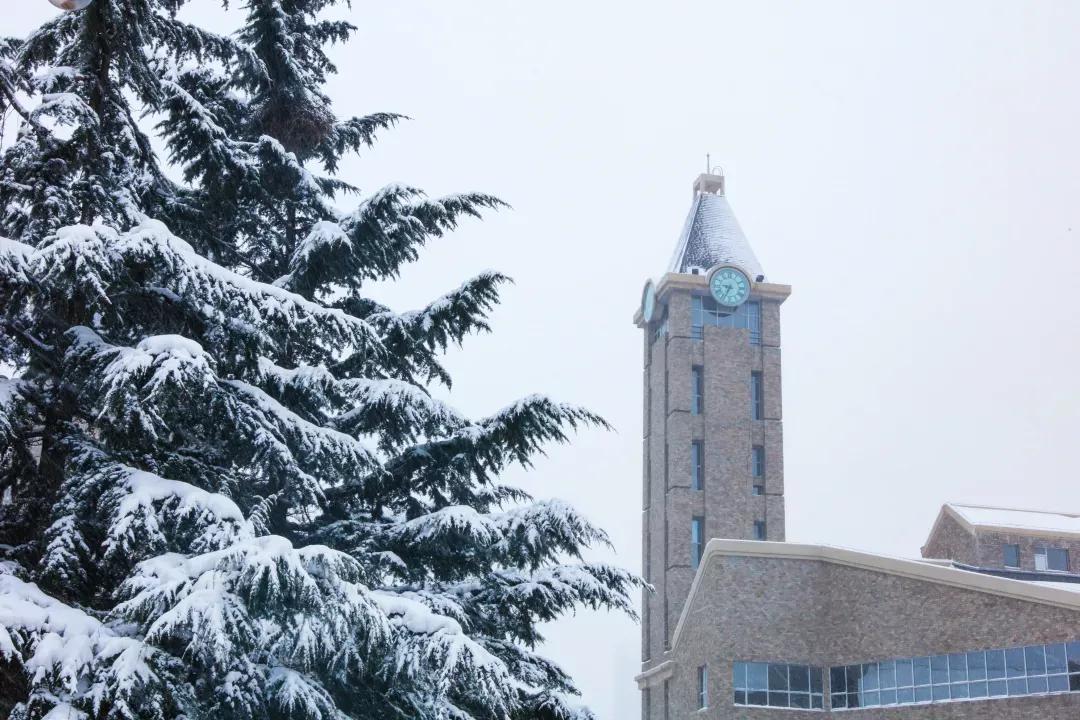 辽宁大连民办大学,大连辽宁二本大学
