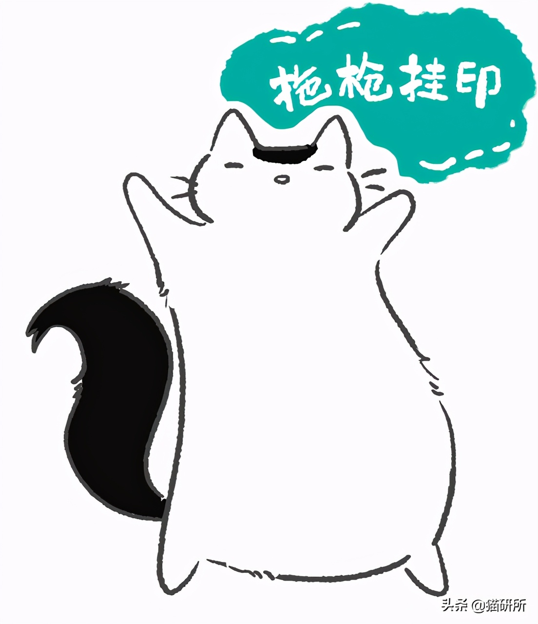 各种花色的猫在古代怎么称呼,猫咪在古代有哪些称呼呢