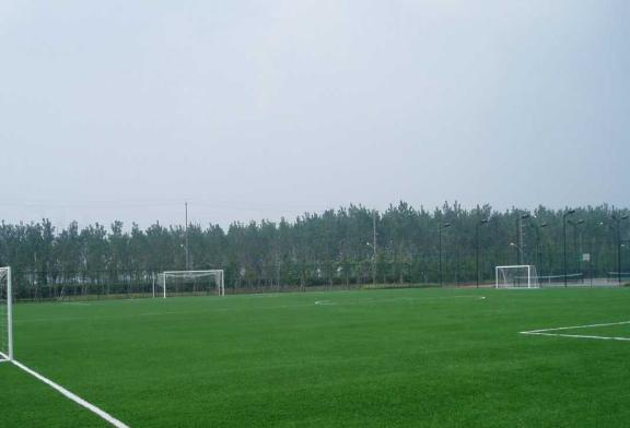 人工草坪养护年限规范,天然草坪如何维护和整平