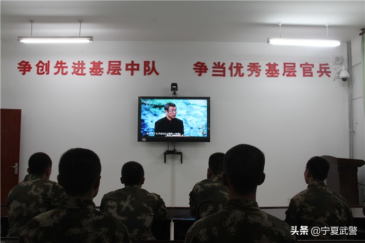 流浪计划视频,流浪手机电影预告