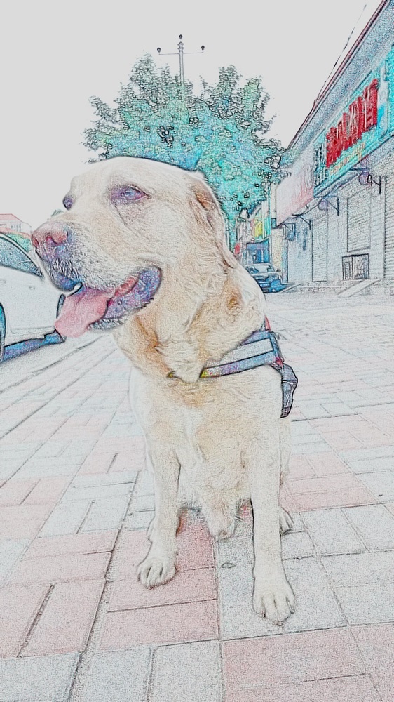 努比亚即将发布手机,努比亚最新发布手机