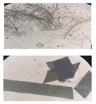 光滑柔软的聚酯纤维,聚酯纤维100%质地柔软