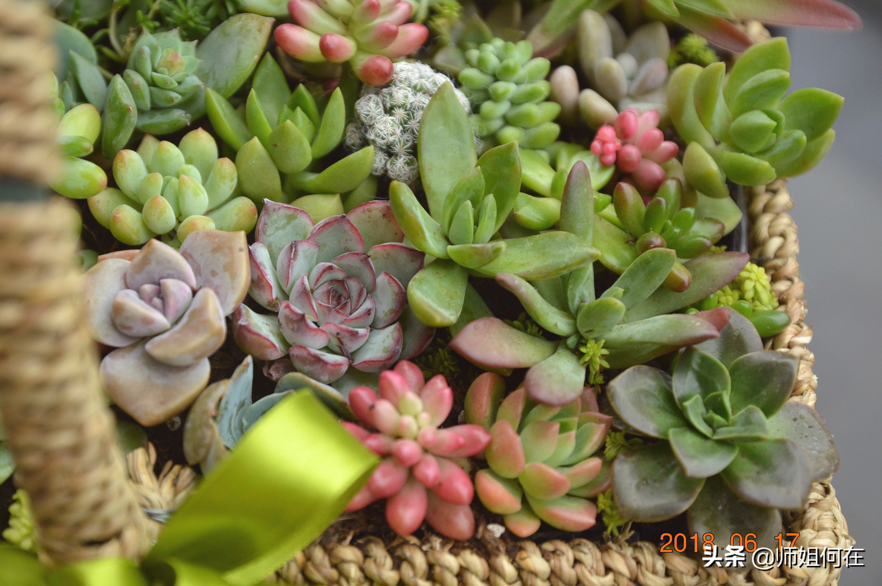 一年级语文ieueer拼音教学,一年级语文拼音复习重点归纳