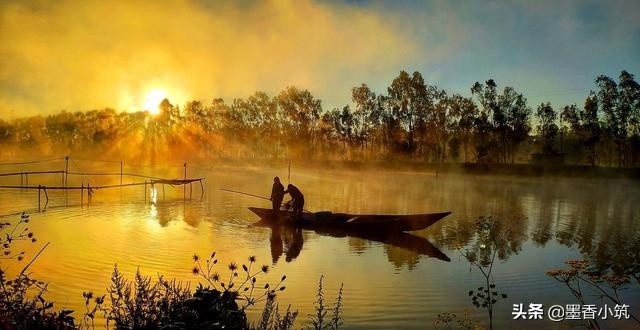 寓言故事大全关于狼的故事,家狗和狼的寓言故事