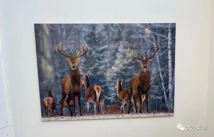 北京这些小众家居生活馆,逛起来太治愈了!已经抗拒不了这轮安利