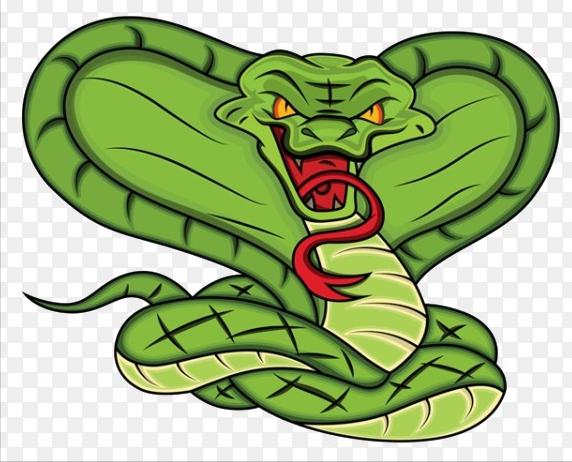 眼镜王蛇有多厉害?如果把它放到非洲会怎样,还能不能称霸一方?