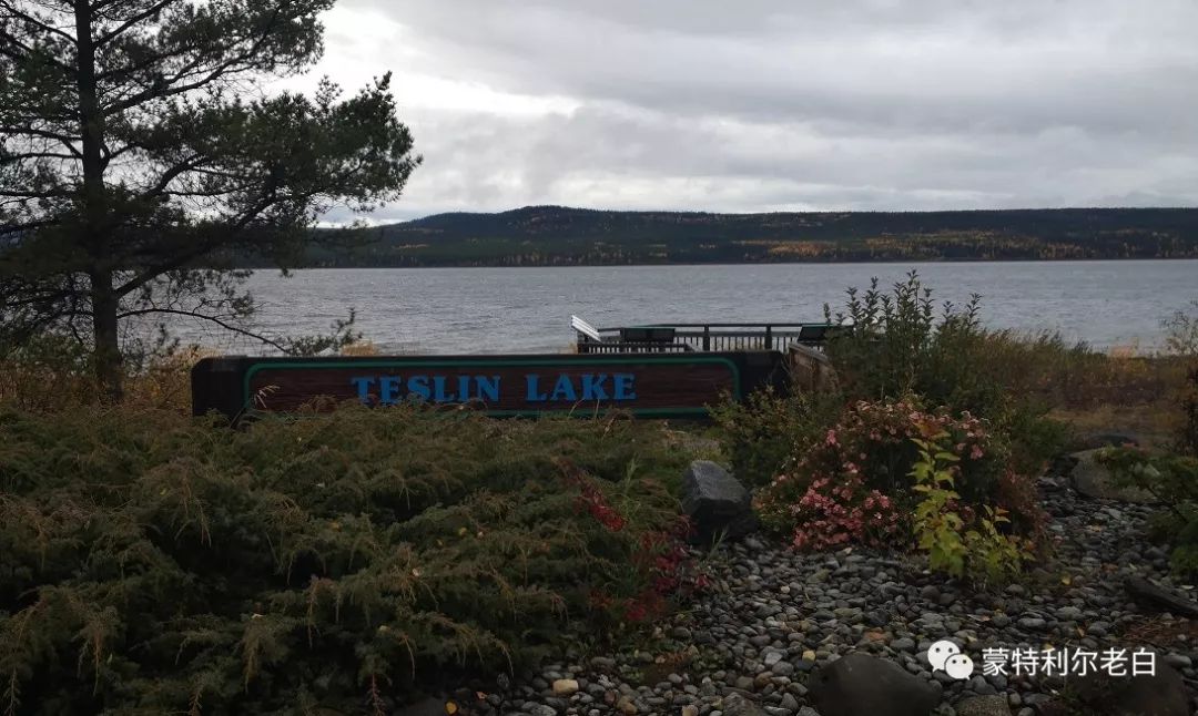 跟着老白行走加拿大，育空Watson Lake、BC省Northern Rockies