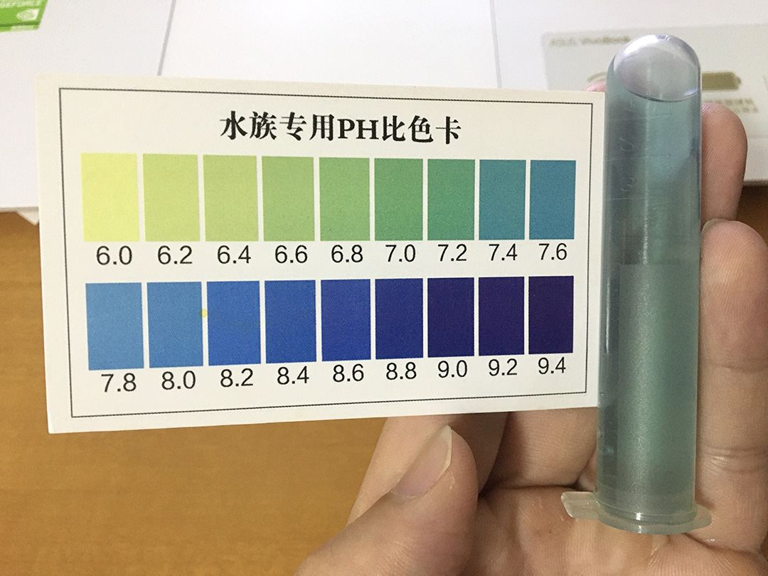 水族宠物螺怎么养,苹果螺养着发白