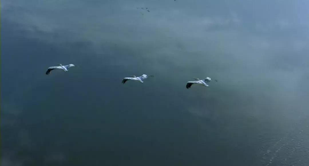 小人物编年史,小人物的真实历史