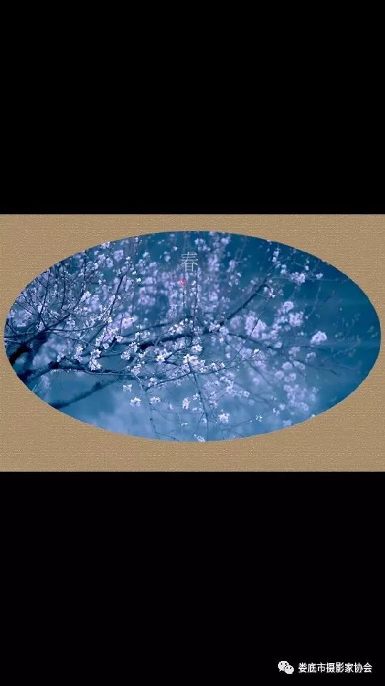 最新风景摄影小品欣赏,娄底景观小品