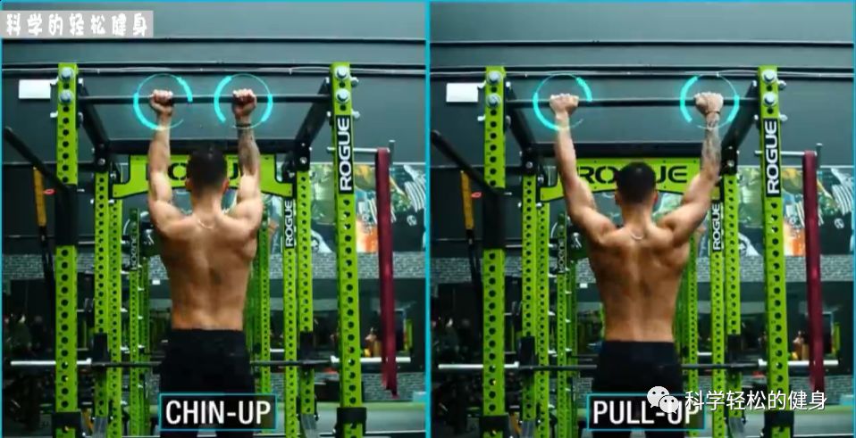 背部肌肉训练计划虐出完美的背肌,背部各个肌肉位置锻炼方法