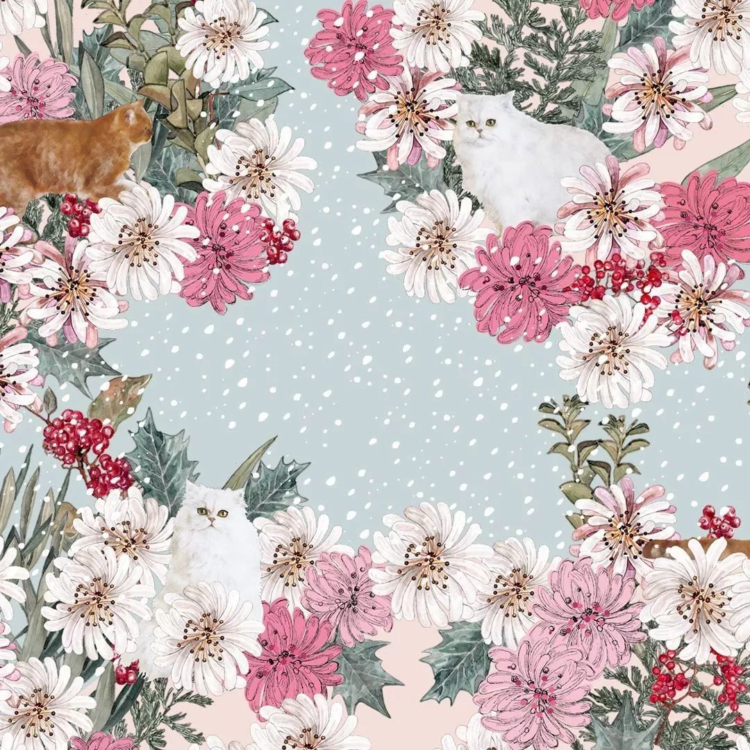 15年十二月日历表,24天日历礼盒