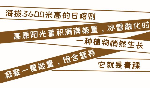 雪山孕育的质朴青稞还能这么玩？年度最期待季节限定就是它！
