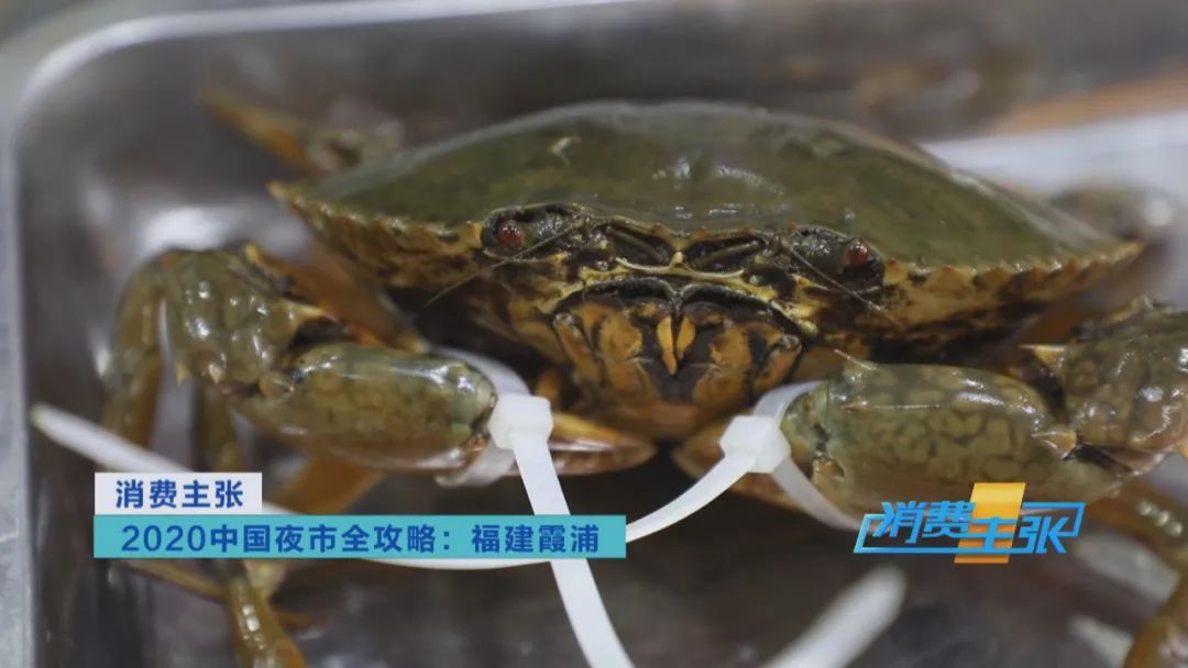 霞浦小众海鲜,霞浦吃海鲜地方推荐