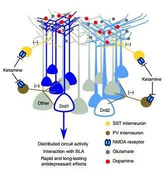 耶鲁大学死亡人物,耶鲁大学教授事件