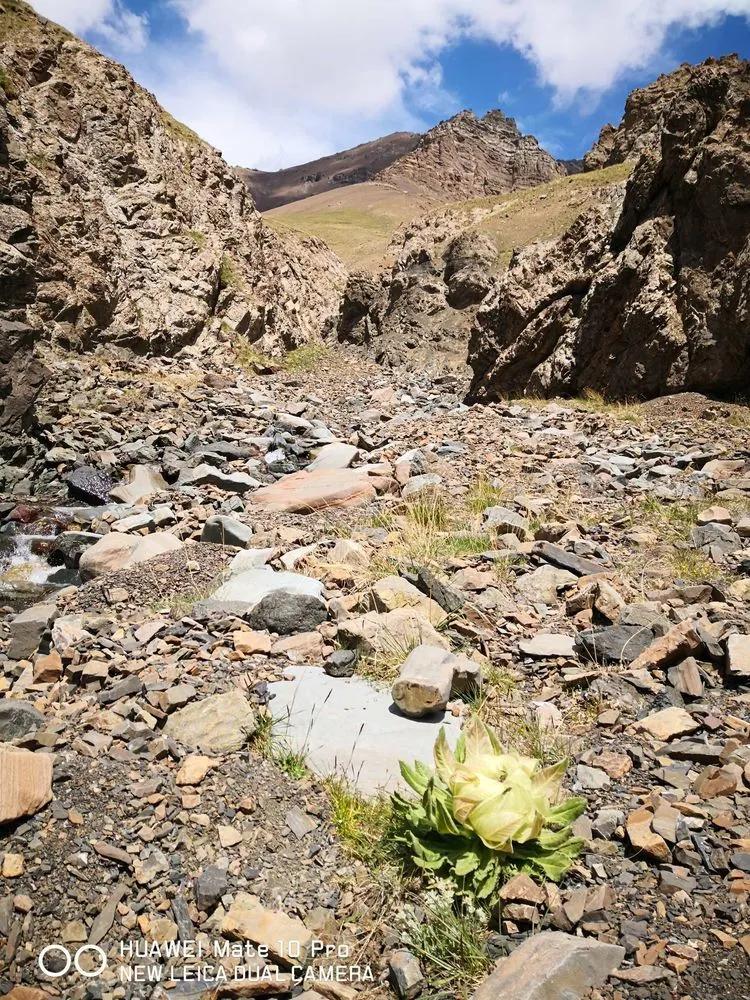 传说中的天狼之路，是否值得一走？