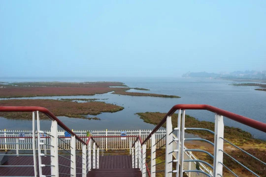 快呼朋引伴,秦皇岛这些春季户外运动等着你轻装上阵~