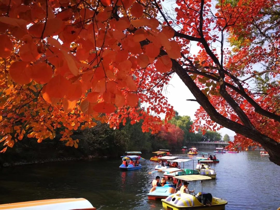 济南免费周末遛娃玩水好去处,济南亲子公园游玩地点推荐