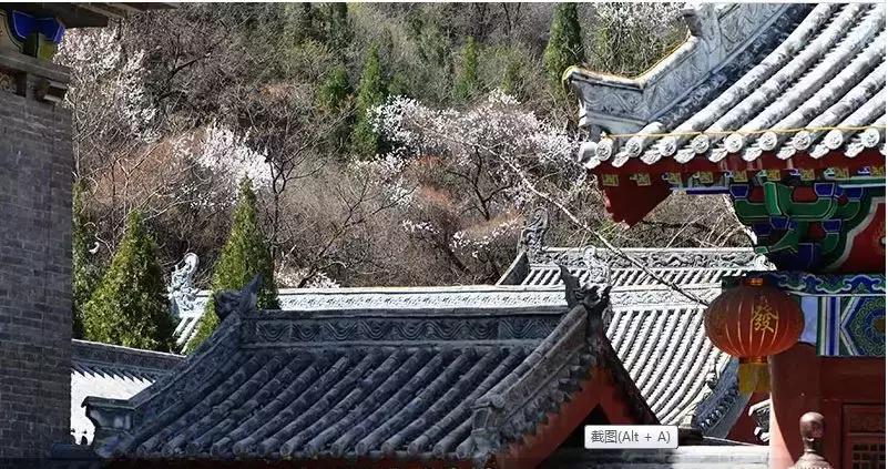 女神节相约美丽,女神节相约一起踏青赏花