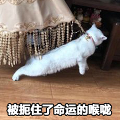 cad图纸快速修改项目名称,cad图纸怎么整体修改文字