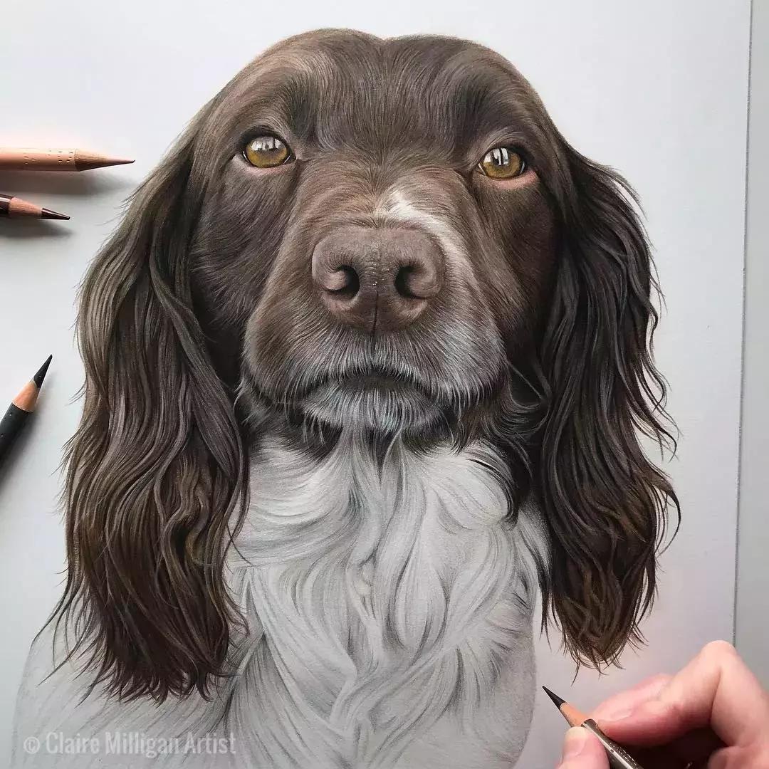 彩铅如何画得非常细腻,彩铅画的很好看零基础