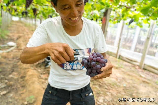河北最为低调小城：为韩愈祖籍地，曹操《观沧海》中的碣石在这