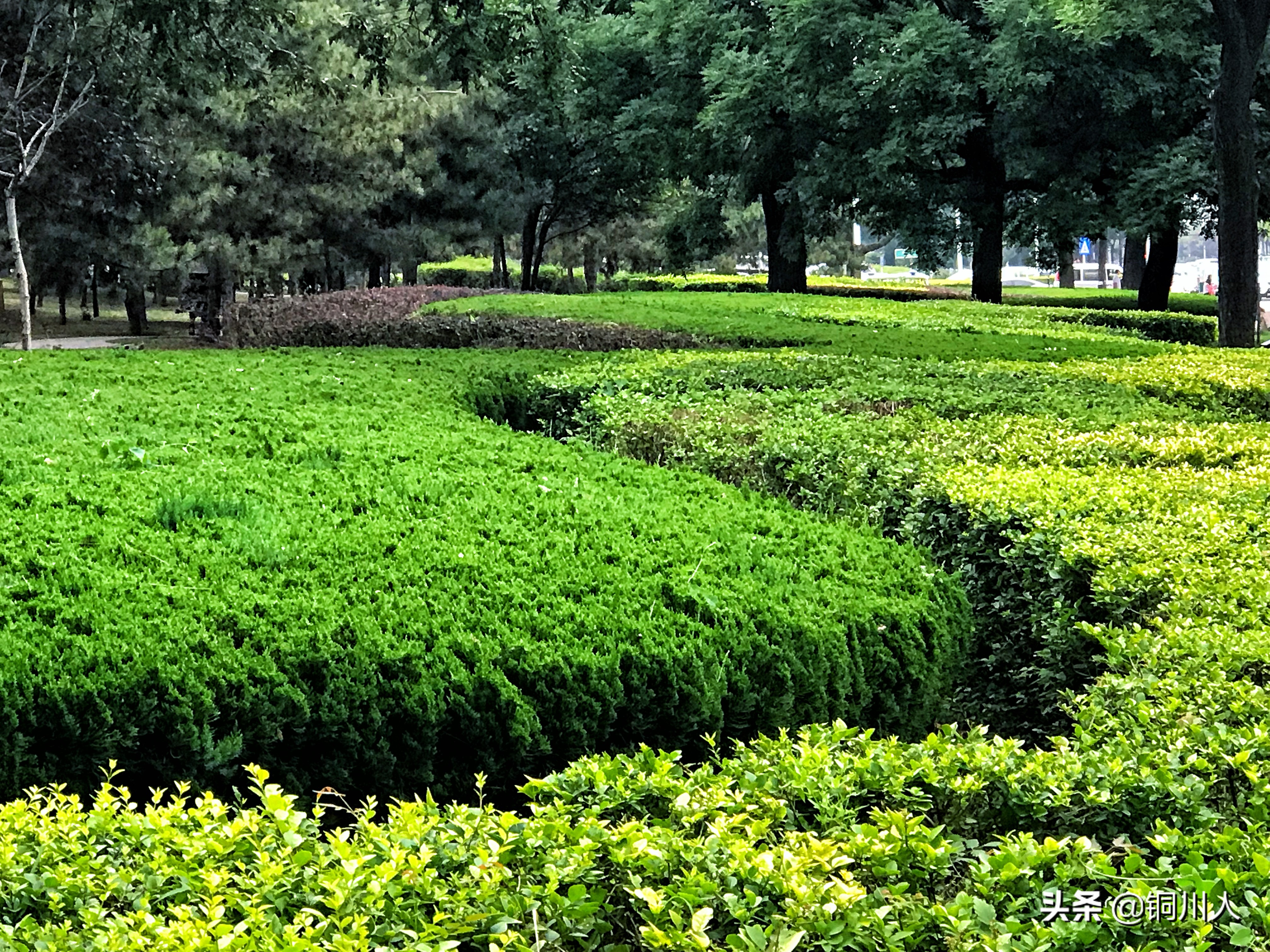 魅力铜川图片,美丽铜川新区