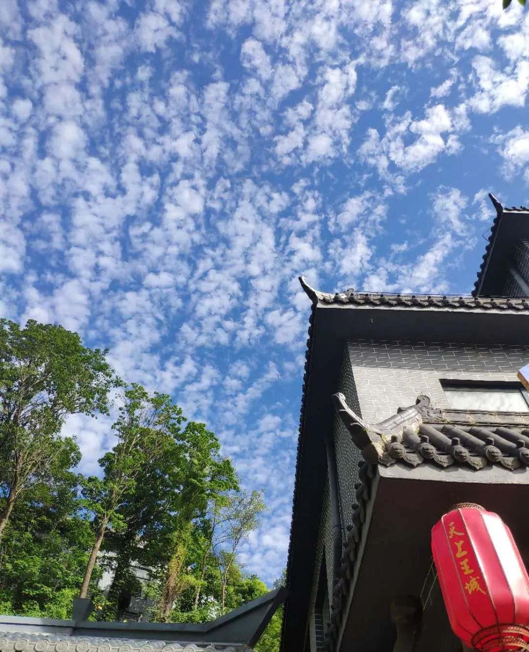 “神兽”归笼，九月临沂天上王城许你一个醉美秋天！