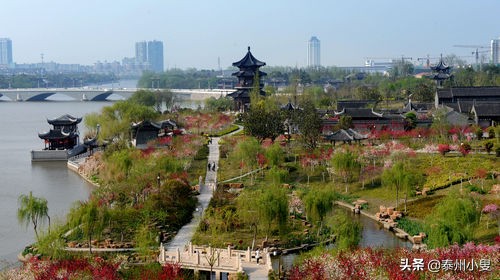 泰州海陵区城东发展规划,泰州海陵区划定三区范围