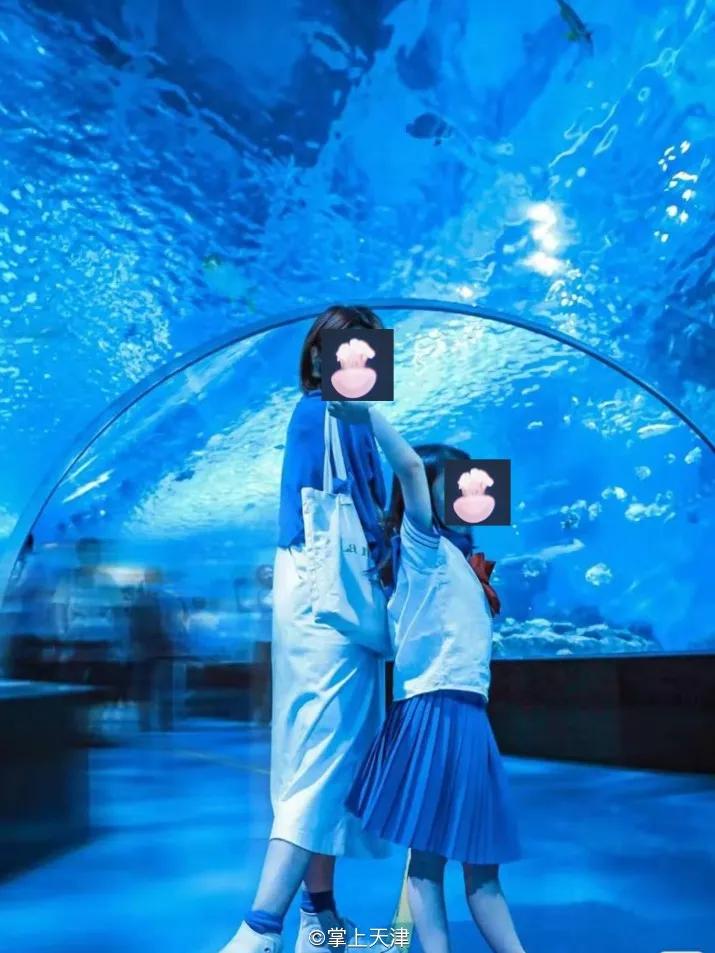 天津海昌极地海洋世界年票,天津海昌极地海洋99票价真实性