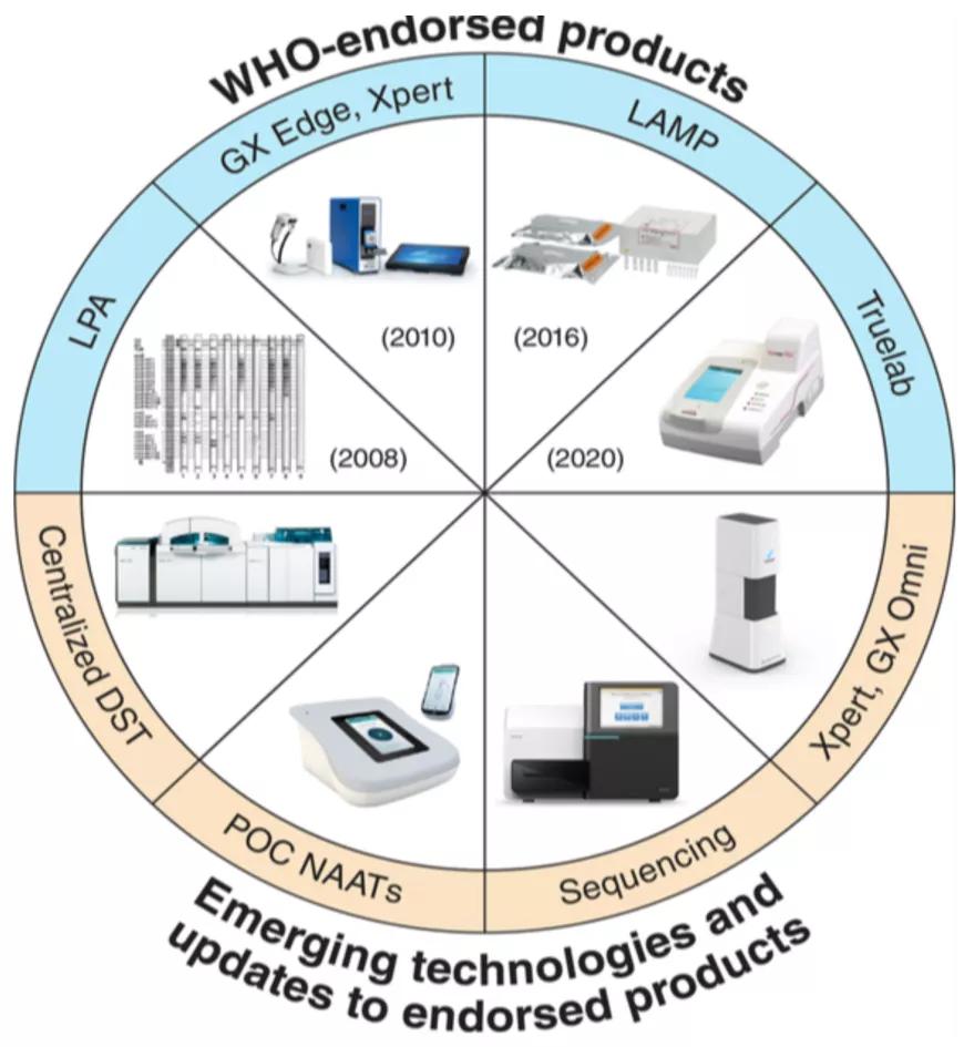 结核诊断方法和防治原则,结核的病原学诊断