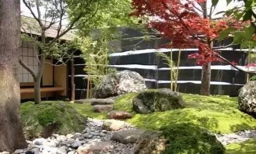 禅意庭院一定要用苔藓吗,禅意苔藓微景观制作视频