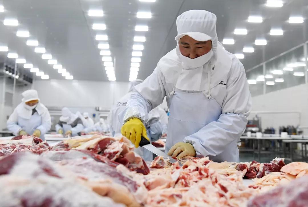 一波大猪正在赶往餐桌的路上！猪肉供需平稳百姓吃得起、吃得上，年夜饭的大猪蹄子安排上了