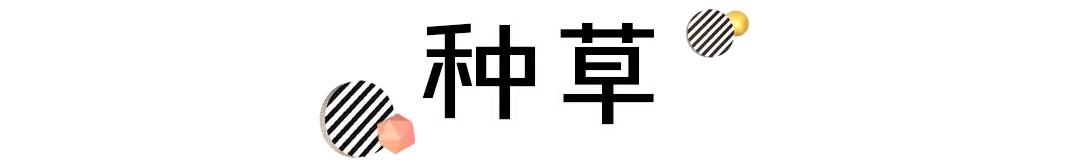 2019最佳推荐的六支口红,斩男大牌口红