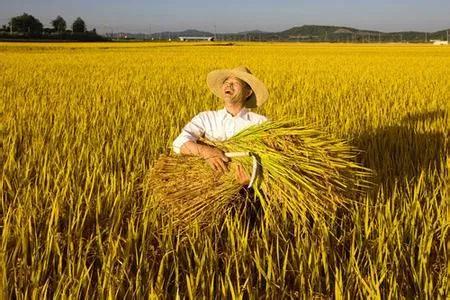 农业概况,中国农业基本现状