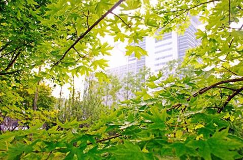 中国石油大学华东实力,中国石油华东实力