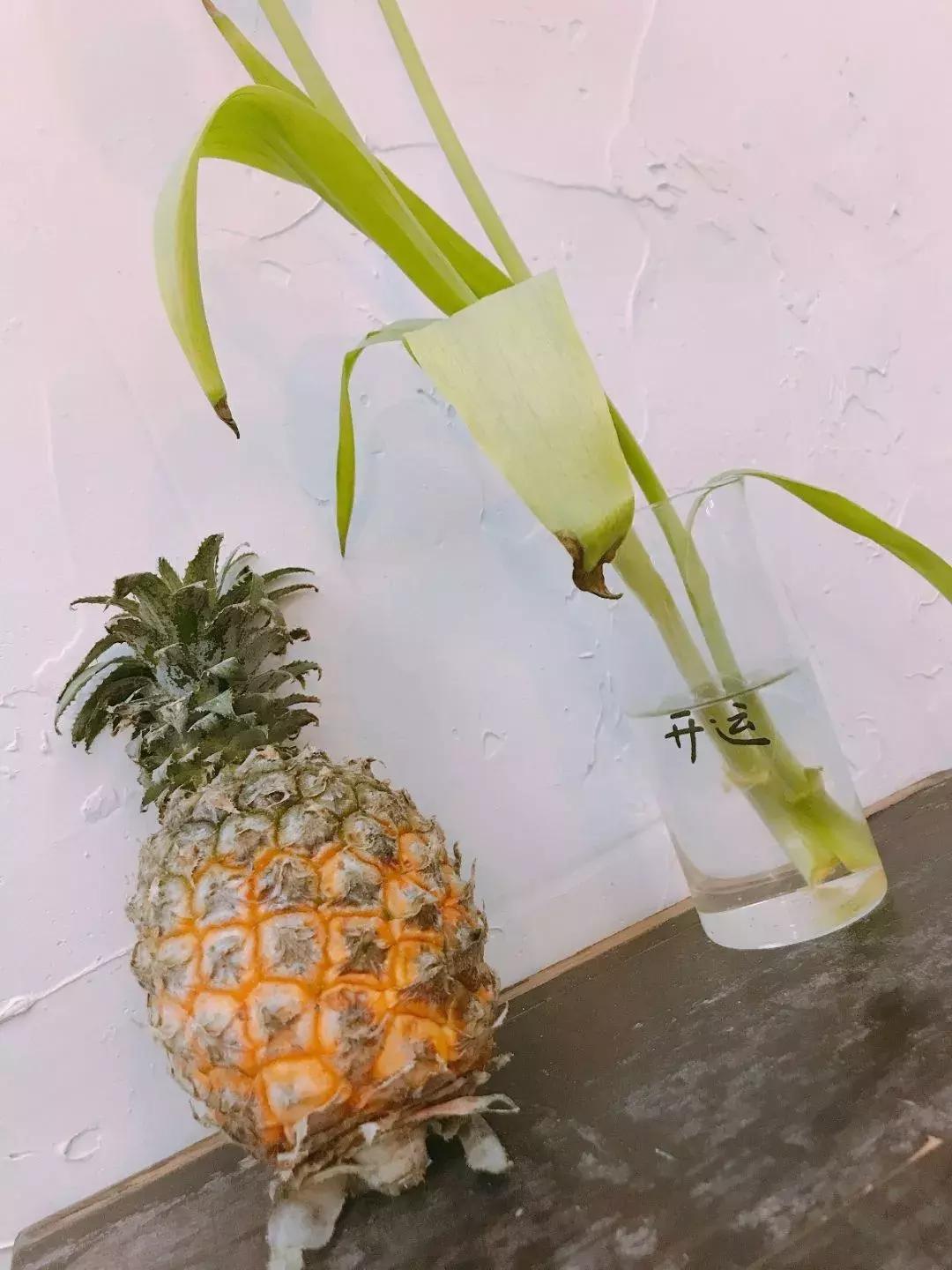 上海高逼格网红打卡地探店,上海网红打卡地小红书