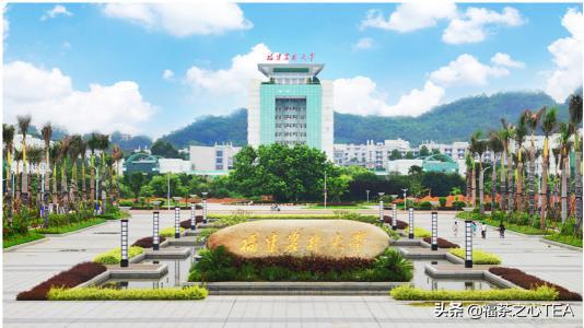 湖南农业大学茶学专业怎么样,广西有哪些高校开设茶学