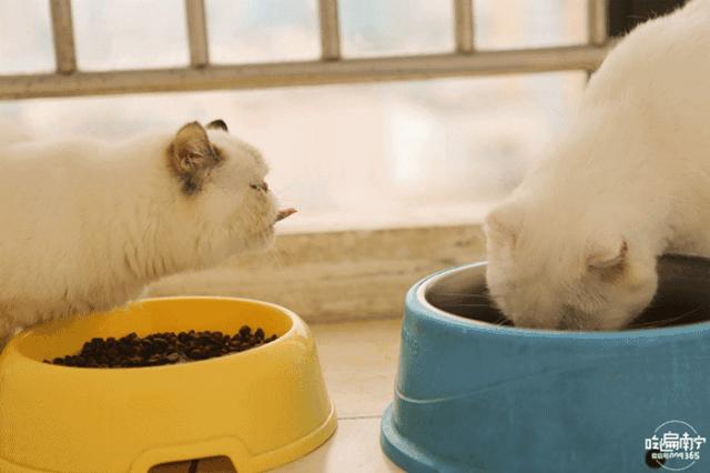 life暴雪嘉年华,life潮跑版